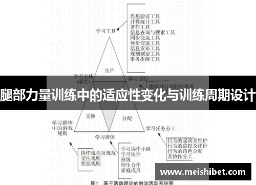 腿部力量训练中的适应性变化与训练周期设计